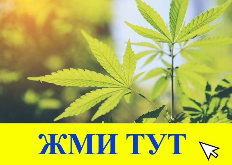 Купить наркотики в Угличе